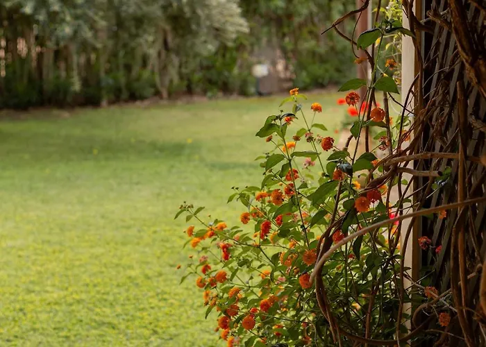 Apartmanhotel Porto Giunco Villasimius